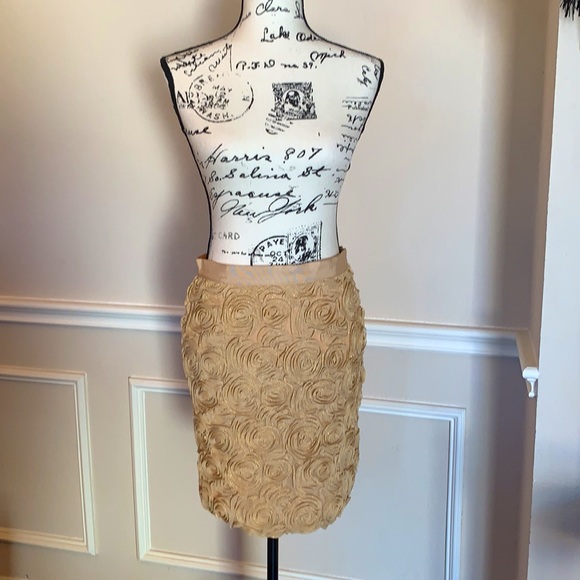 🤩 Banana Republic Skirt - Picture 2 of 7